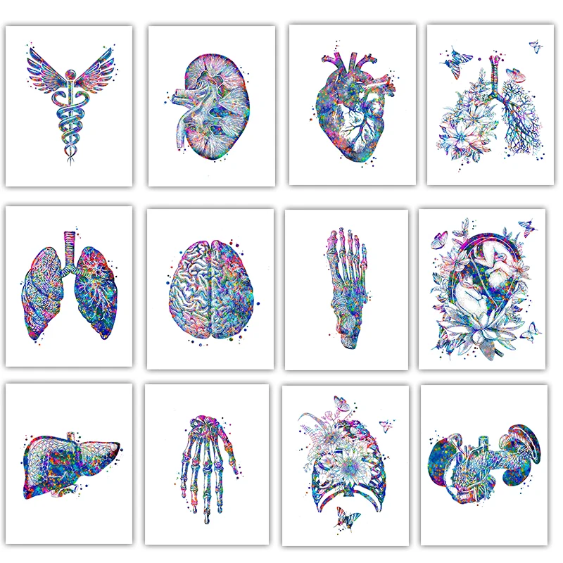 Anatomy Medical Poster Flower  - Medical Lab Posters ulasan dan harga