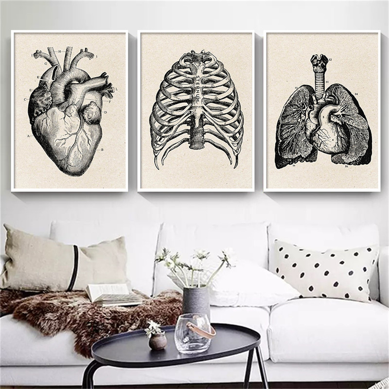 Medical Anatomy Artwork Canvas - Medical Lab Posters ulasan dan harga