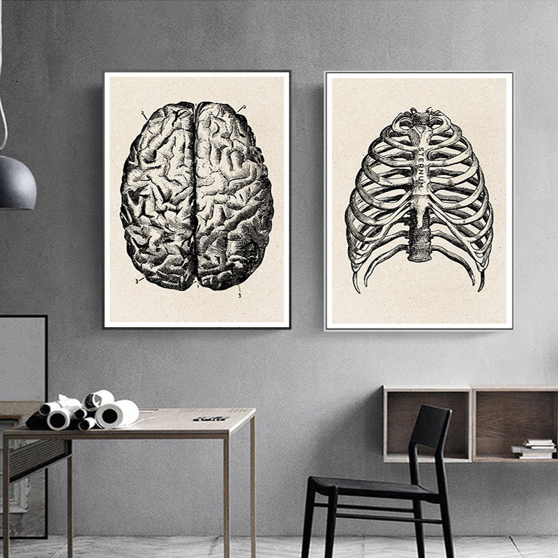 Medical Anatomy Artwork Canvas - Medical Lab Posters ulasan dan harga